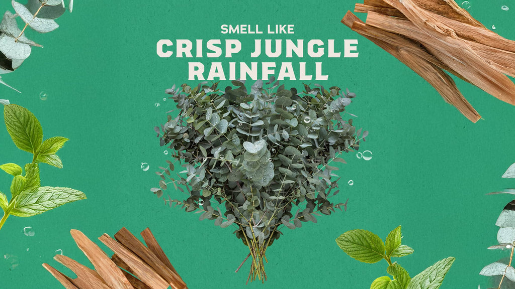 Scent inspiration imagery used on Dr. Squatch product pages